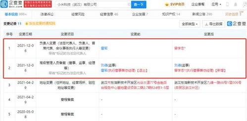 雷軍卸任小米科技武漢高管職務(wù)，聚焦戰(zhàn)略布局與數(shù)據(jù)處理業(yè)務(wù)發(fā)展